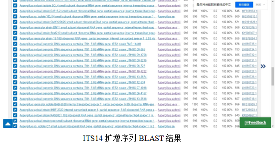 simgen-2×PCR Mix-植物/真菌DNA試劑盒-ITS14擴增序列 BLAST結(jié)果