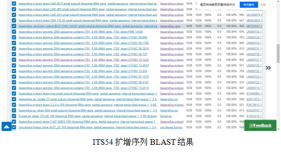 simgen-2×PCR Mix-植物/真菌DNA試劑盒-ITS54擴增序列 BLAST結(jié)果
