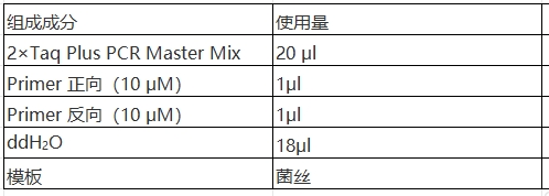 Simgen-快速DNA提取檢測(cè)試劑盒，2×Taq Plus PCR Master -配置PCR擴(kuò)增體系，將菌絲直接加入體系中進(jìn)行PCR擴(kuò)增